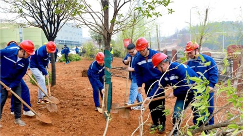 這個(gè)植樹節(jié)，共植一抹青綠，向著綠色未來出發(fā)！